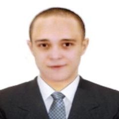 Mustafa Kamel, Software Developer