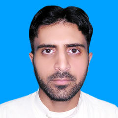 Nafees UR Rehman, Pharmacist