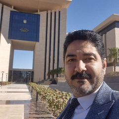 wael salah ali abdel razek