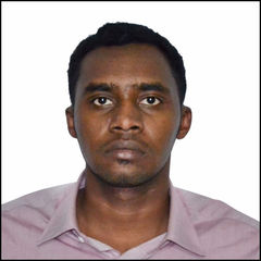 موسى محمد حامد  القرعاني, Network Engineer