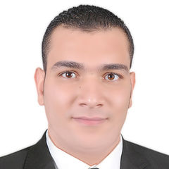 طارق عادل الباز احمد, محاسب عام