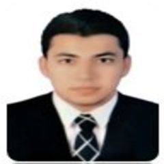 Ahmed Bshra, Human resources specialist, Executive administrator