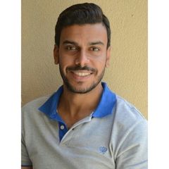 Mohamed Gamal Mohamed Mostafa  Ammar