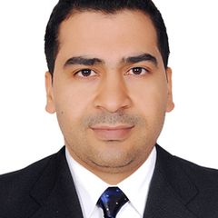 mansour ragb, accountant