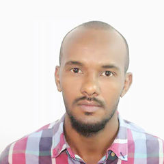 Ahmed Ali Hassan Mohamed