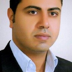 حسام فتحي حسن, مدخل بيانات
