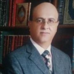 Ali Al ammar, استاذ جامعي