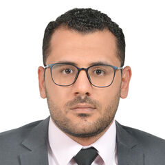 Ahmed Gamal  Abd El Salam,  Finance Manager