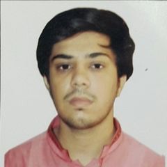 Waleed Afzal, Internee Engineer