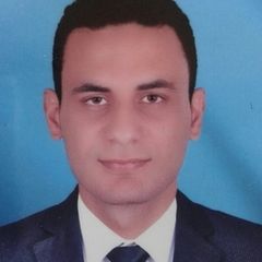 محمد حسن سالم حسن, Accountant