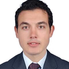 أحمد مرعي, Medical Representative