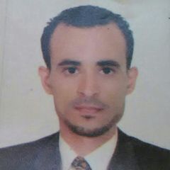 Mohammed Al-Junaid, منسق مشاريع