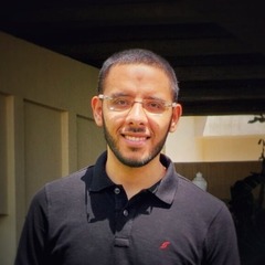 Ahmed Shehata, Data Scientist