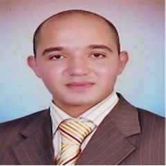 محمد درويش محمدمحمد الخولي, مهندس تنفيذى