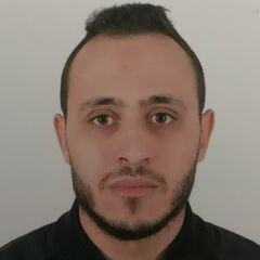 Seyd Ali Ferahtia,  Postdoctoral Researcher 