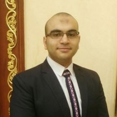 Mostafa Kandil, Finance Manager