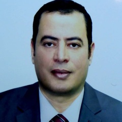 محمد السيد محمد حسين