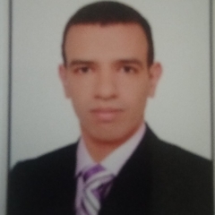 محمود ناصر, محاسب عام للشركة