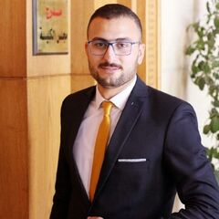 Ahmed Megally, Structural Design Engineer