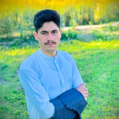 Irshad Ullah