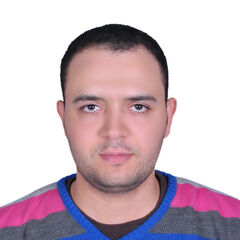Abdullah Elsayed, Research Assistant