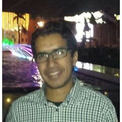 Mohamed Essam, Data Analytics Specialist
