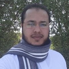 سامي صلاح الدين ناجي المضلع, مدير برنامج نماء للتعليم عن بُعد