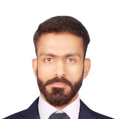 Ameer Hamza, Financial Accountant and Tax Reporting Executive 