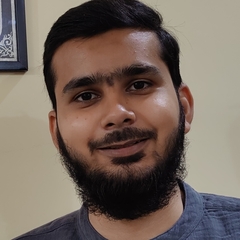 Amir Raza, Data Engineer