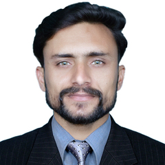 Ehsan Farid, Accountant