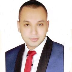 محمد السيد السيد محمد نور الدين نورالدين, General accountant and have a link with sales management