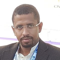 Amero Mohamed Ahmed Hassan, CONSULTANT