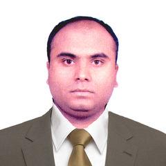 Atif Javed, Technical Designer BIM Coordinator (Architecture & Structure)