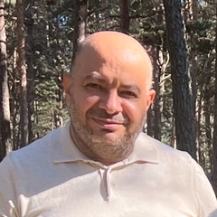Ehab Mostafa, Acting IT director