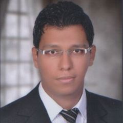محمد إبراهيم السيد السلاموني, Dot Net Developer