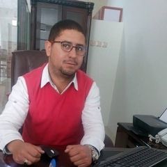 Bassam Sedik, مدير مبيعات