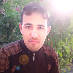 Alaa Abdul wadood Ali Almamori, Programmer