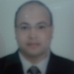 عبد الفتاح فكري محمود محمد دياب, IT Assistant Manager