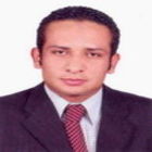 Walid Adel, Database & Application Section Head