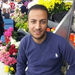 Anis Mansour Mahmoud, PPC Executive