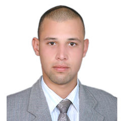 Ebrahim Anter, مدخل بيانات