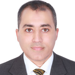 Hany Shouman, Senior Accountant