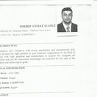 Sherif Esmat Abd Elnabi Hafez mohammed, Accountant 