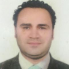 محمد سيد احمد بركات بركات,  LOGISTIC MANAGER