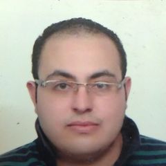 احمد عمارة, Senior Business analyst