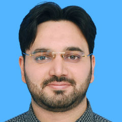 Farooq Syed, Teacher