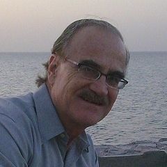 ali qardan, Editor in chief , Editor, English news translator
