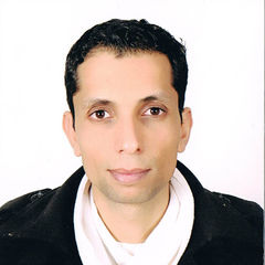 Oubeid Allah Amdouni, Sales Executive – Construction Solutions