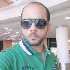أياز رضا, Sales / Procurement Engineer