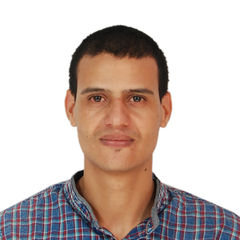 Abdelghani faleh, استاد
